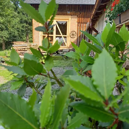 Knezicka Guest house Vrchlabi